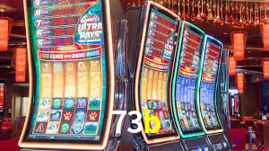 73b