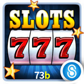 73b.com